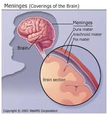 Indian-made vaccine approved to fight meningitis in Africa