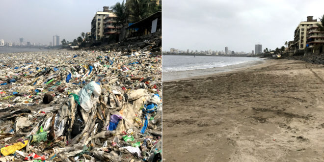 Clean beaches !! Clearing 500 tons of garbage !
