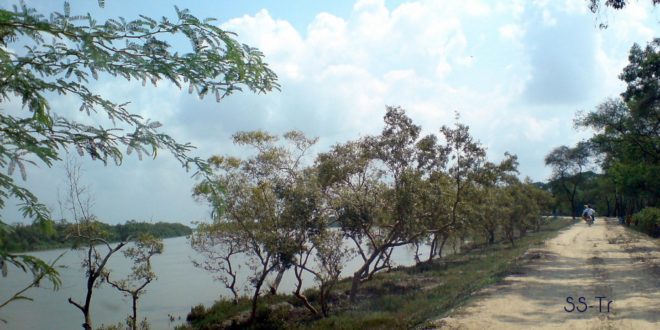 Plantation, fencing and changing the course of nature’s wrath