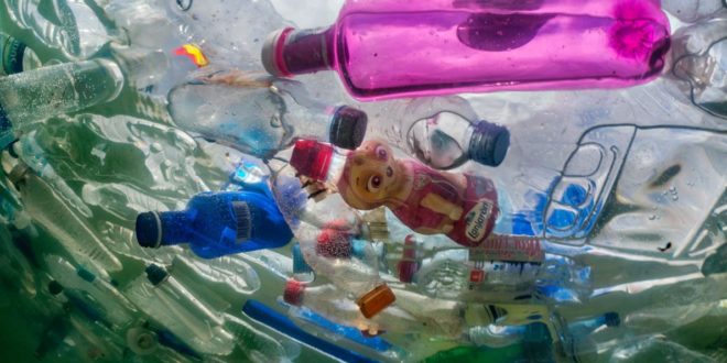 Planet or Plastic ?