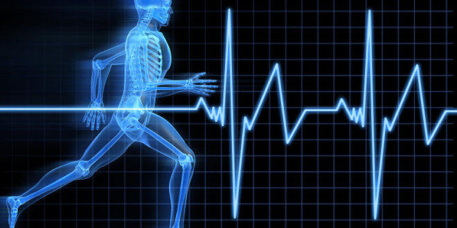 SPORTHO- India’s 1st destination for sports medicine !