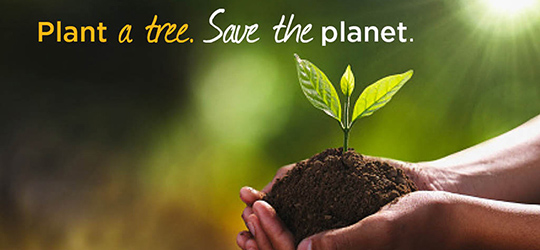Grow Trees..Save Environment !