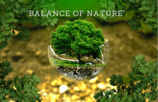 Maintaining the balance in Nature