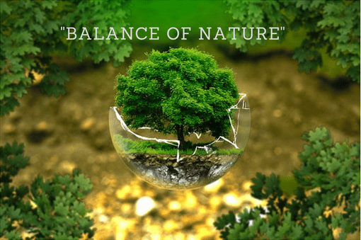 Balance-of-nature-1.png
