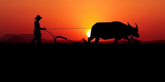 National Farmer’s Day !