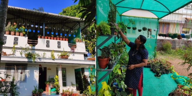Kerala Housewife earns by selling variety of plants grown on her Terrace !