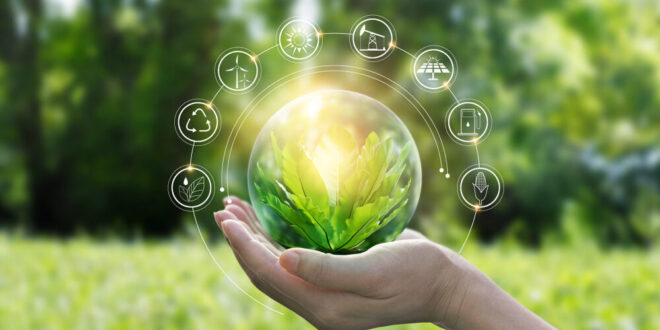 “Let’s Make This Summer Green” campaign launched by DEWA