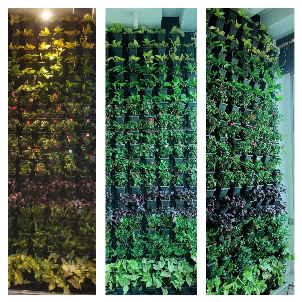 Curated visual reference: Eco Friendly Green Walls Reference: Vivan S Eco Friendly Green Wall