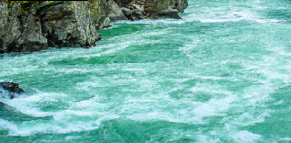 International Day of Action for Rivers: 2022