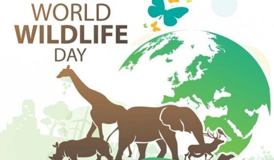 WORLD WILDLIFE DAY 2022
