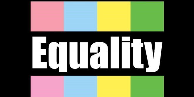 Gujarat Minister Insists Woman Sarpanch To Break Gender Stereotypes