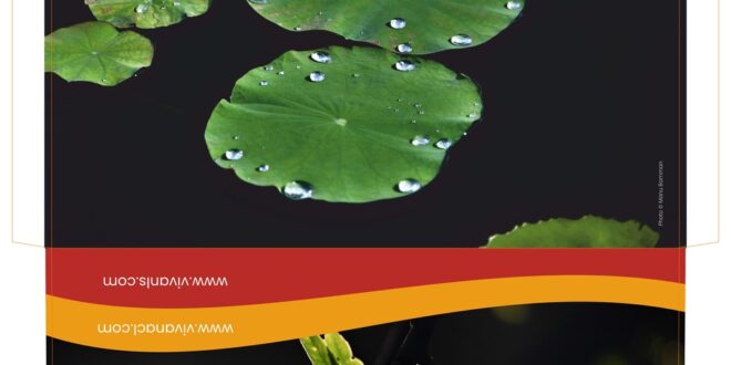 Happy New Year from VIVAN!