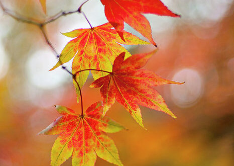 The important things in life