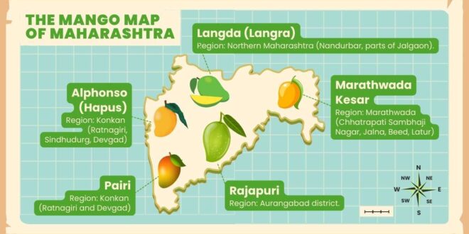 Maharashtra’s Mango Map: The Untold Story of Mangoes Beyond Alphonso