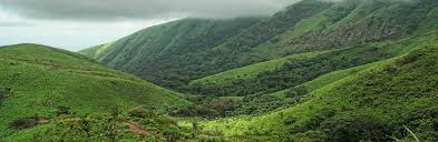 Future Of Conservation: What Is Biodiversity Finance & Where Does India Stand Globally?